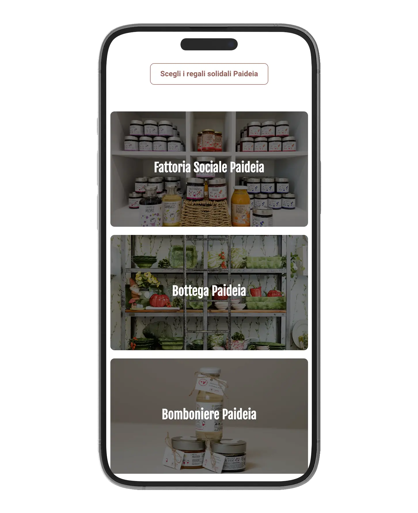 Paideia-Mockup-mobile-3